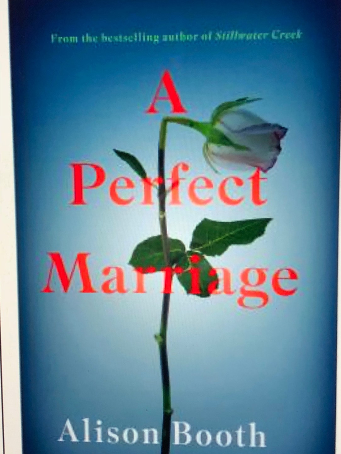 image_540228133957295