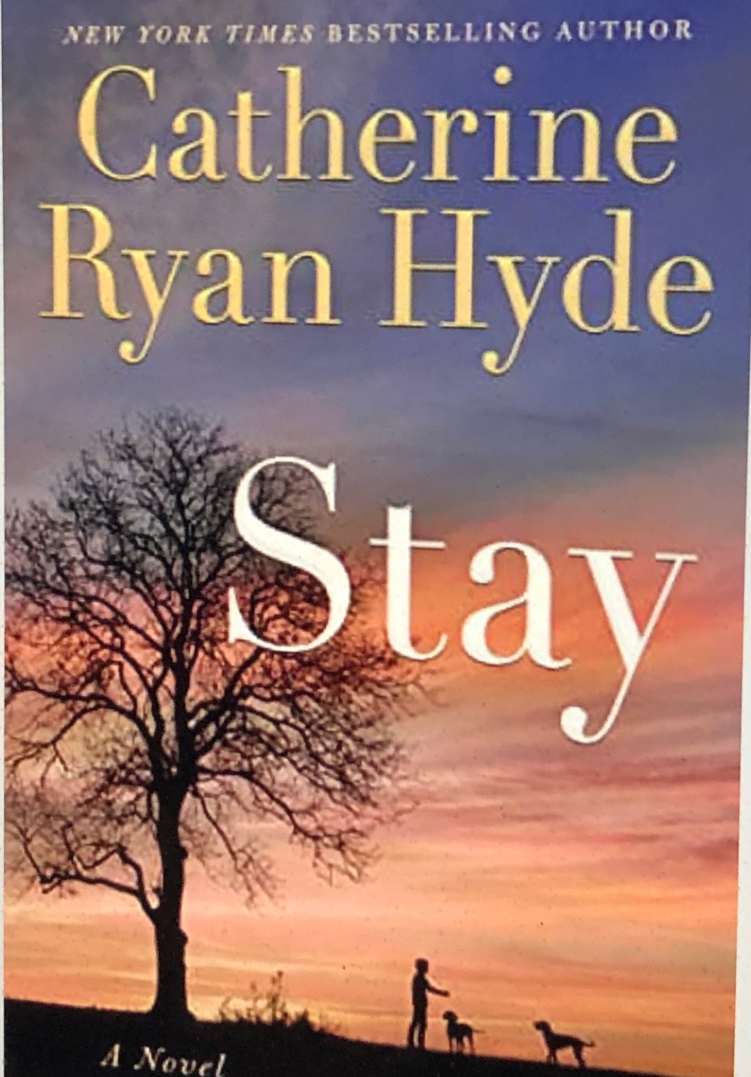 0CC371A7-5390-4340-97BB-2A2E9C209D95_1_201_a