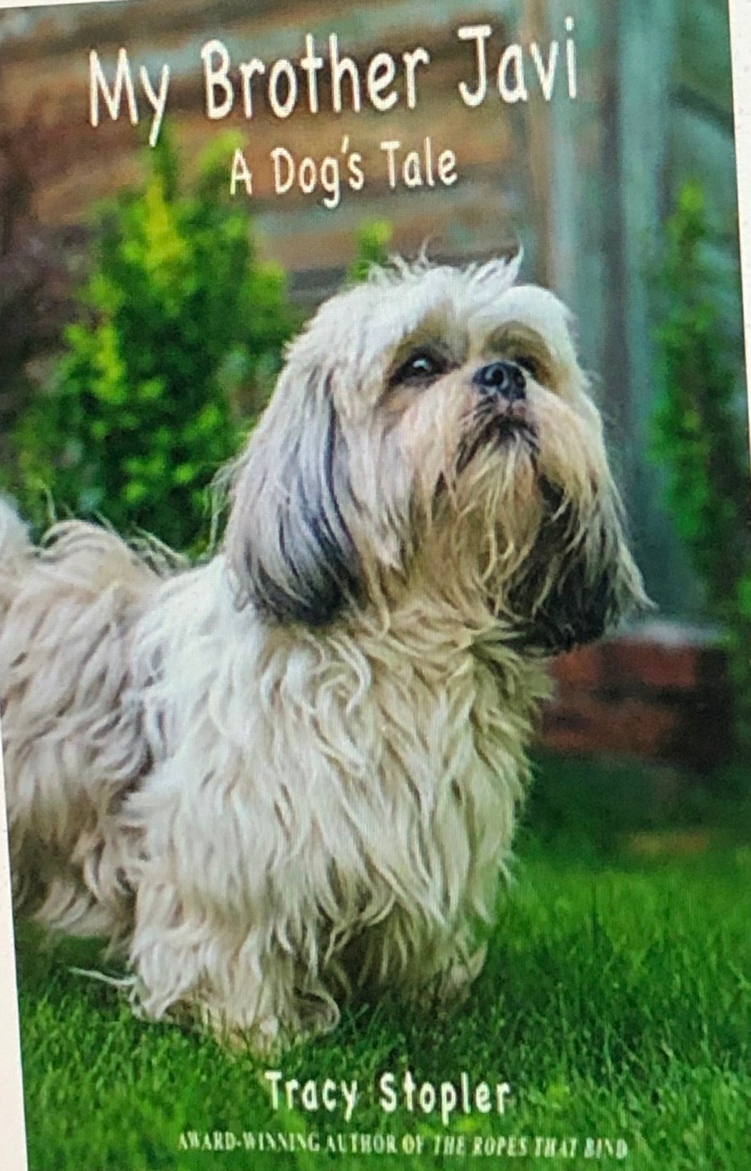 04C65D8F-DD12-470C-AE16-705F35BF3444_1_201_a