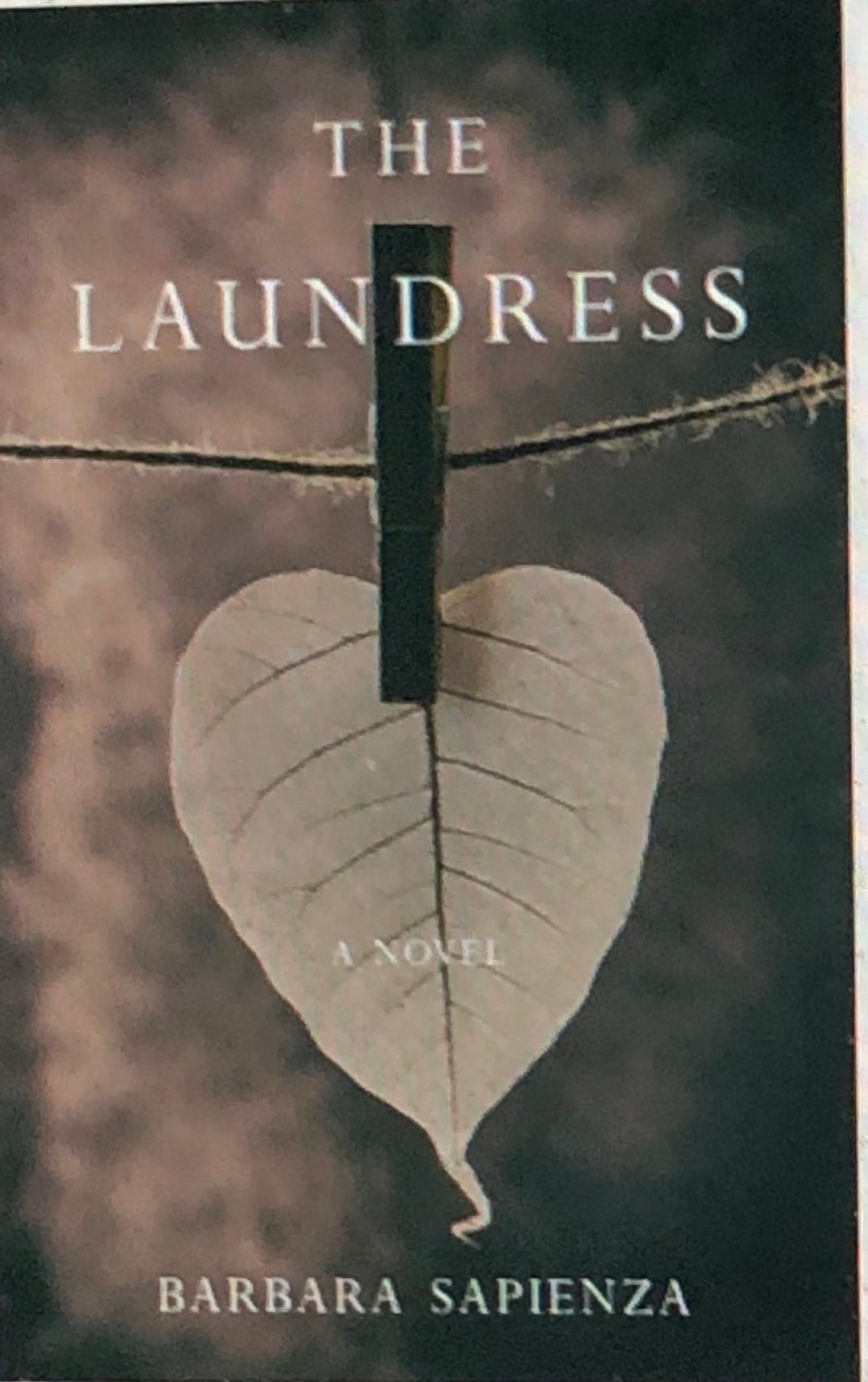 19C5FBF3-6560-4CAF-950C-B26B9C106887_1_201_a