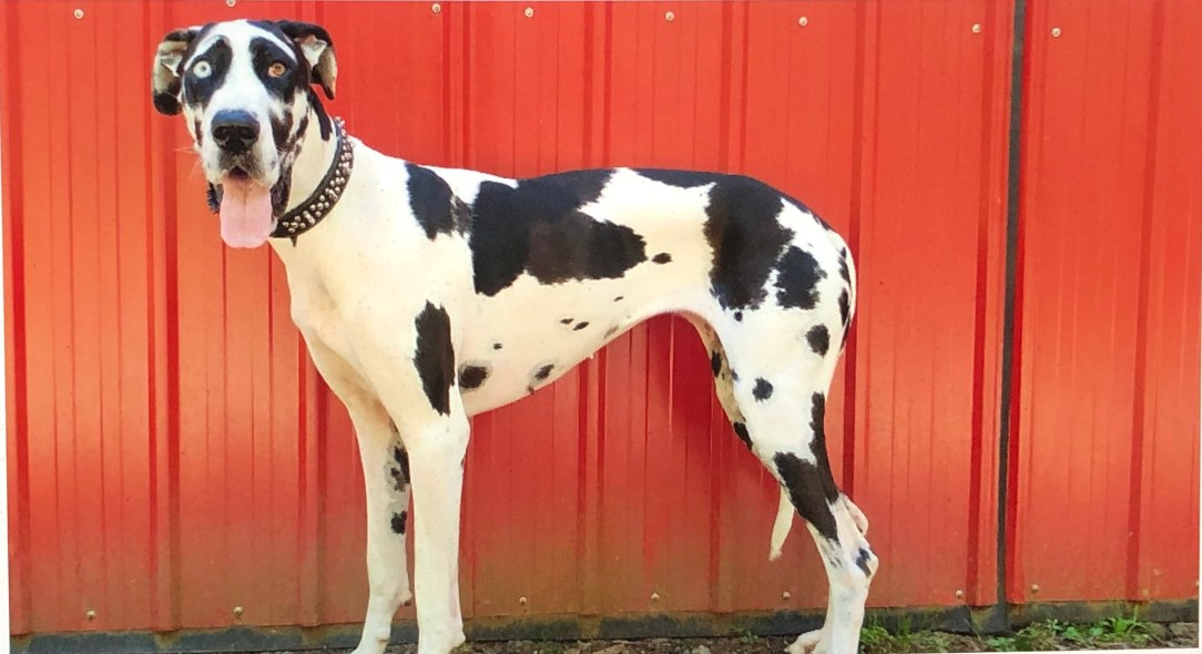 0CEE2AAB-FC0B-46C4-8351-90C9F3A83187_1_201_a