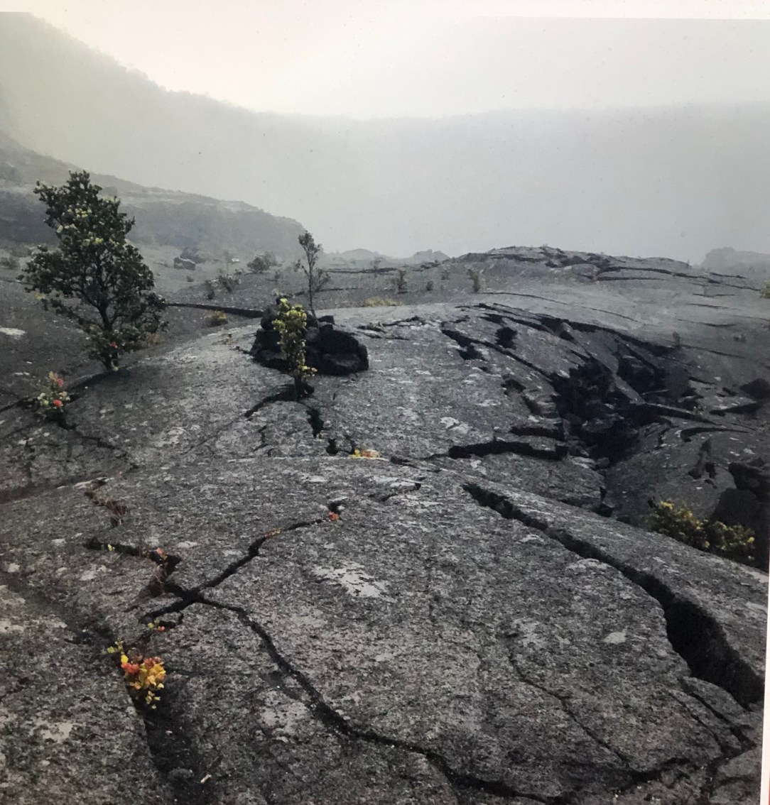 AD9DB2EA-D331-4EB9-8DB1-D49F70363ECA_1_201_a