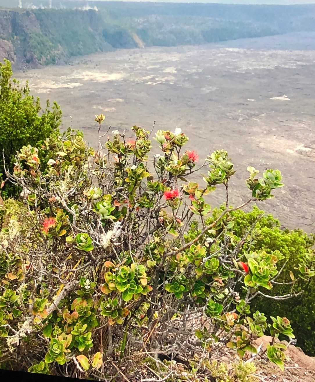 B7C84113-AF97-48B9-B23B-92E60205DBC8_1_201_a