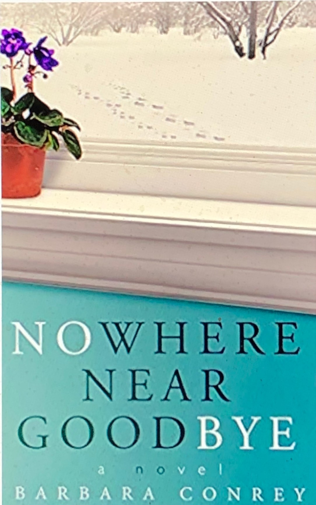 126CD3E5-278F-4760-87B8-67E860777CF9_1_201_a